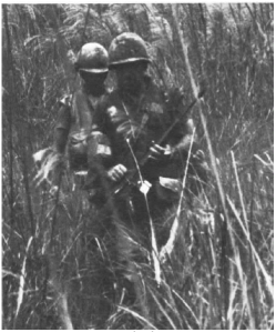 Guerre du Vietnam, opération Buffalo Buffalo-seven-foot-high-elephant-grass-in-the-dmz-region