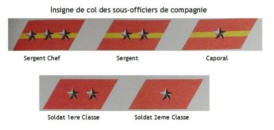 grade-sous-officiers-de-compagnie-anv-2.jpg