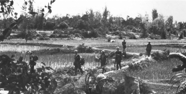 Operation swift rice paddies crossed by 3rd 5th marines on 7 september