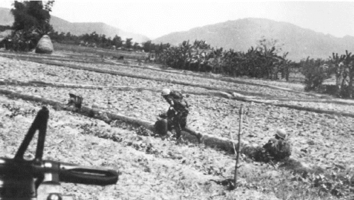 Union ii marines from 3rd 5th in low rice paddy dikes